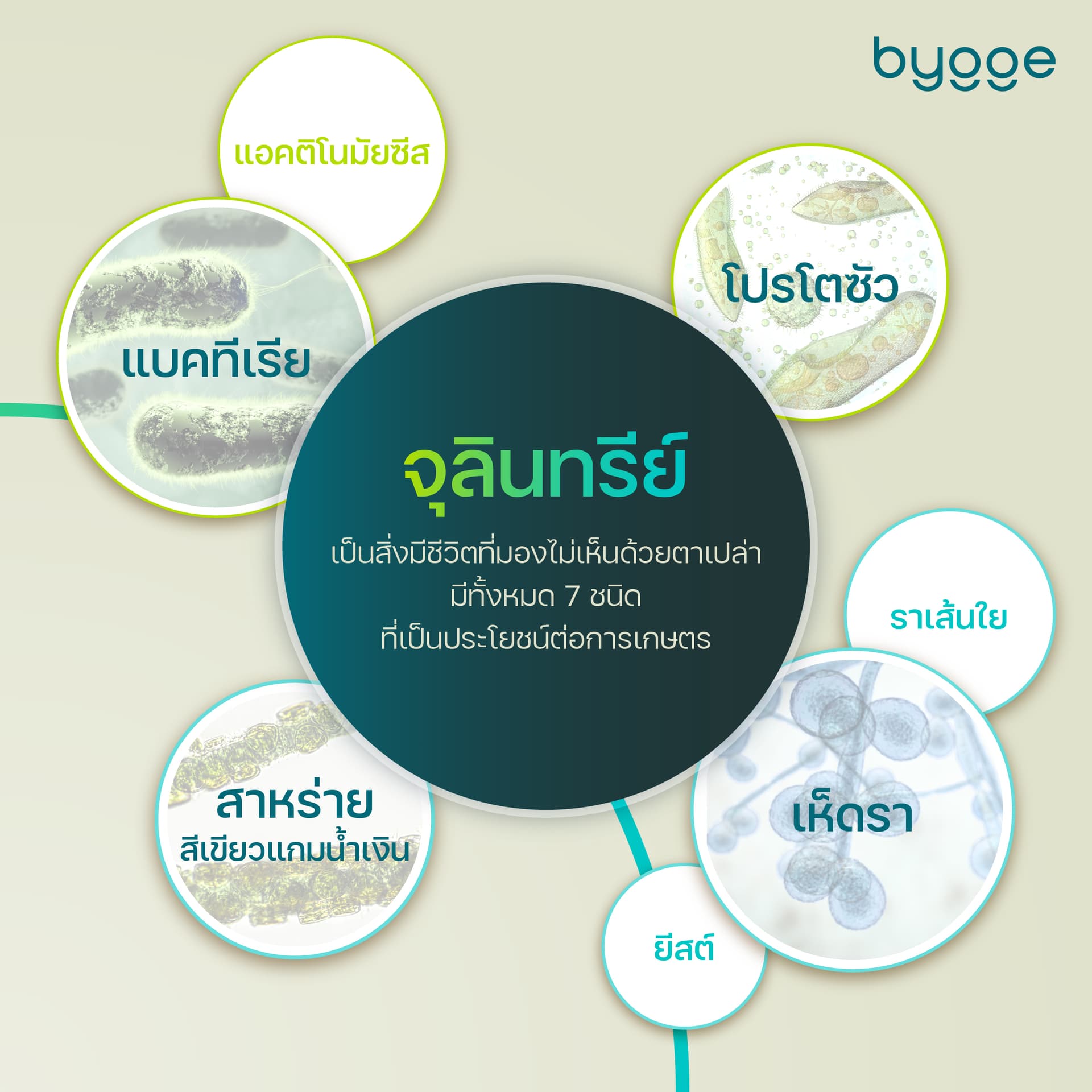 https://admin.byggesolutions.com/wp-content/uploads/2025/08/super_bact_desc3.jpg