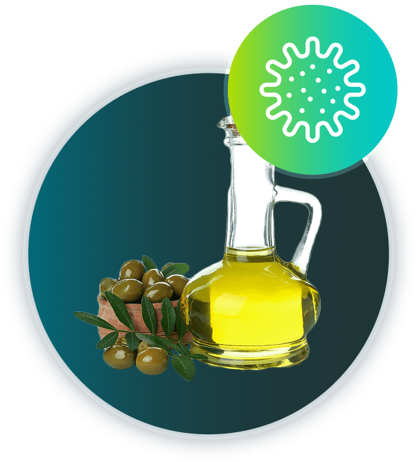 Microorganism NO.30